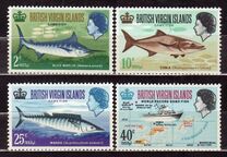 [Sport Fishing Records, タイプ CV]