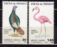 [Mexican Flora and Fauna, 類型 BHC]