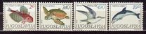 [Mediterranean Marine Life, тып BTM]