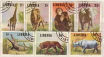 [Wild Animals, type OJ]
