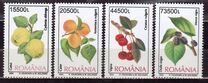 [Fruits, type ICV]