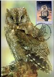 [Owls, tegund IEG]