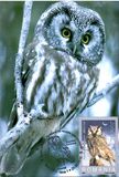 [Owls, tegund IEK]