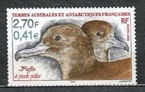 [Antarctic Fauna, type OF]