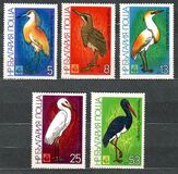 [Birds - EXPO `81 Plovdiv, tegund DBS]