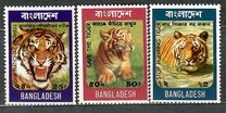 [Wildlife Conservation, Вид AH]