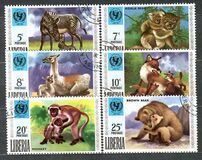 [The 25th Anniversary of UNICEF - Animals with their Young, ประเภท TJ]