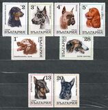 [Dogs, type BQT]
