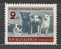 [Soviet Space Dogs - Strelka, Chernushka, Zvezdochka and Belka, Tipo ANB]