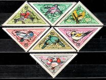 [Birds, loại FG]