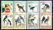 [Rare Birds, Tüüp Y]
