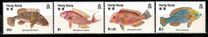 [Fish, 类型 GN]