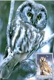 [Owls, tegund IEK]