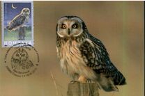 [Owls, tegund IEI]