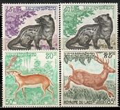 [Wild Animals, タイプ LG]