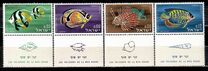 [Red Sea Fish, Tip IK]