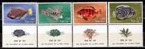 [Red Sea Fish, type JJ]