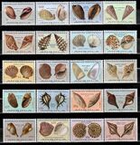 [Seashells, ประเภท LD]