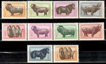 [Mongolian Animals, tegund CT]