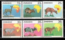 [Duikers of Africa Survey, Вид EI]
