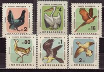 [Nature Conservation - Birds, type ALV]
