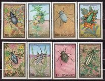 [Beetles, type XP]