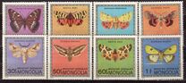 [Butterflies, نوع ACW]