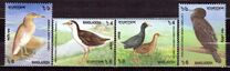 [Birds, type YW]
