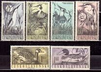 [Water Birds, type YY]