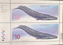 [Blue Whale, type CVW]