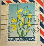 [Airmail - Flowers, type KY]