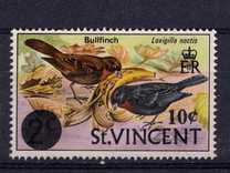 [Birds, Tipi CT]