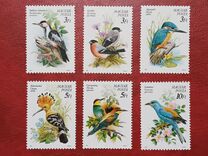 [Protected Birds, тип ETQ]