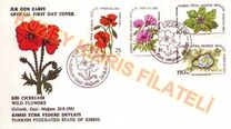 [Flowers, Tipi CX]