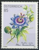 [Flowers - Blue Passionflower, type DSC]