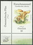 [Endemic Mushrooms of Austria, type DTL]
