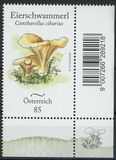 [Endemic Mushrooms of Austria, type DTL]