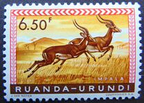 [Fauna, प्रकार CE]