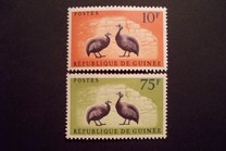 [Birds - Guineafowl, тип AE]