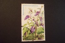 [Flowers, typ IS]