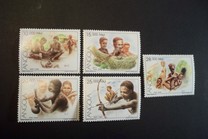 [The Kung, Khoisan Tribe, 類型 AAM]