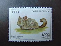 [Wildlife Protection, סוג WN]