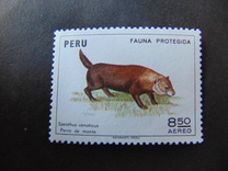 [Wildlife Protection, סוג WM]