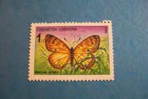 [Fauna - Butterfly, type B]