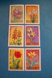 [Flowers of Uzbekistan, type AI]