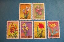 [Flowers of Uzbekistan, type AI]