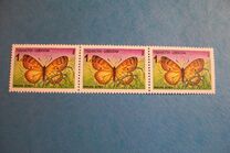[Fauna - Butterfly, type B]