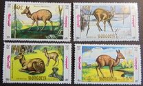 [Siberian Musk Deer, typ BWE]