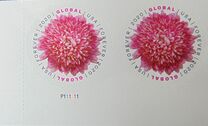 [Flowers - Chrysanthemum, प्रकार IHU]