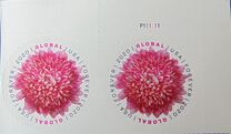 [Flowers - Chrysanthemum, प्रकार IHU]